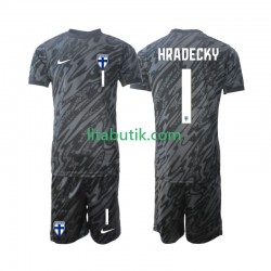 Finland HRADECKY 1 Målvakt Barn Hemma Fotbollströja 2024 Kortärmad Finland HRADECKY 1 Målvakt Barn Hemma Fotbollströja 2024 Kortärmad