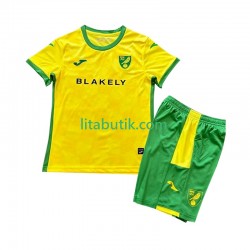 Norwich City Barn Hemma Fotbollströja 2024-2025 Kortärmad Norwich City Barn Hemma Fotbollströja 2024-2025 Kortärmad