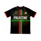 Club Deportivo Palestino Center Stripre Män Hemma Fotbollströja 2024-2025 Kortärmad