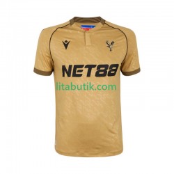 Crystal Palace Män Borta Fotbollströja 2025-2026 Kortärmad