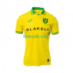 Norwich City Män Hemma Fotbollströja 2025-2026 Kortärmad Norwich City Män Hemma Fotbollströja 2025-2026 Kortärmad