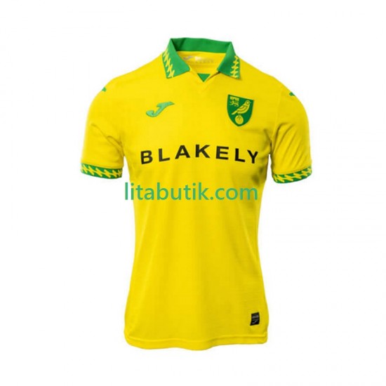 Norwich City Män Hemma Fotbollströja 2025-2026 Kortärmad