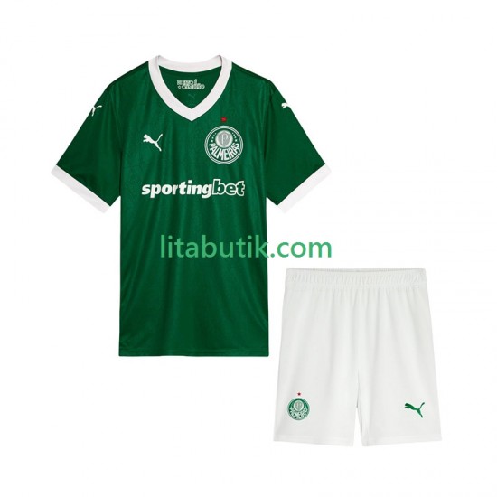 Palmeiras Barn Hemma Fotbollströja 2025-2026 Kortärmad