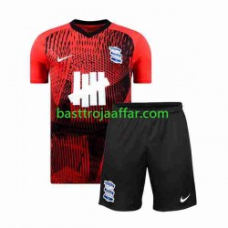 Birmingham City Barn Borta Fotbollströja 2023-2024 Kortärmad Birmingham City Barn Borta Fotbollströja 2023-2024 Kortärmad