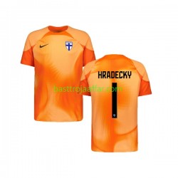 Finland HRADECKY 1 Målvakt Män Hemma Fotbollströja 2022-2023 Kortärmad Finland HRADECKY 1 Målvakt Män Hemma Fotbollströja 2022-2023 Kortärmad