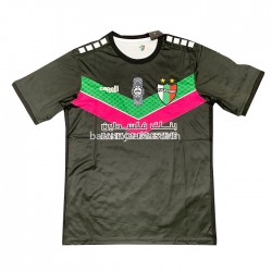 Club Deportivo Palestino Borta Fotbollströja 2022/23 Kortärmad